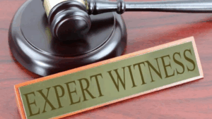 Police Expert Witness